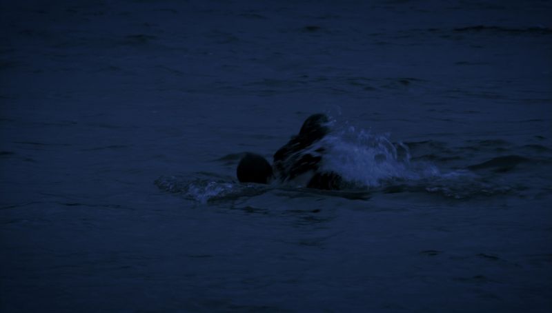 neverlandpt1_01196.jpg