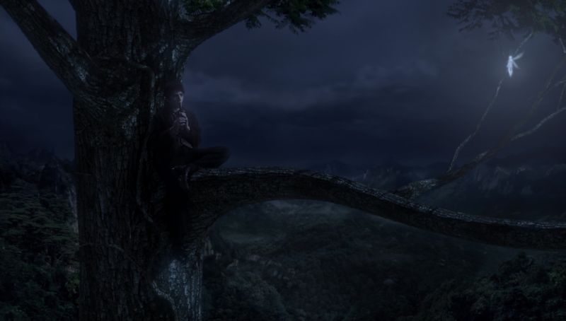 neverlandpt1_01482.jpg